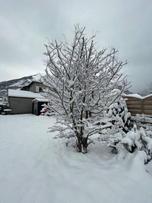 Bel Appartement Dans Residence Cheminee /Jardin Luz-Saint-Sauveur Exterior photo